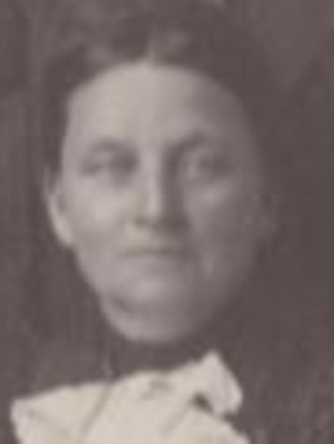 Anna Christina Larson (1863 - 1917) Profile